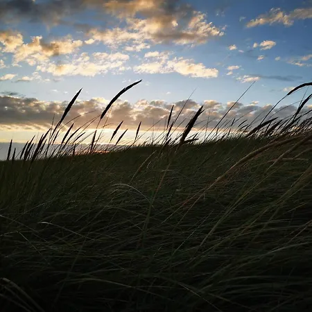 Luxury Retreat In - By Traum بيت للعطل *