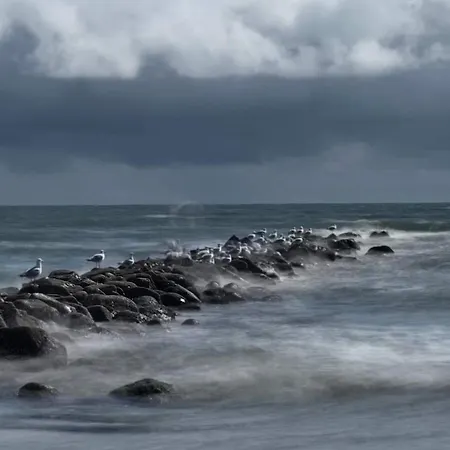 بيت للعطل Luxury Retreat In - By Traum Blåvand