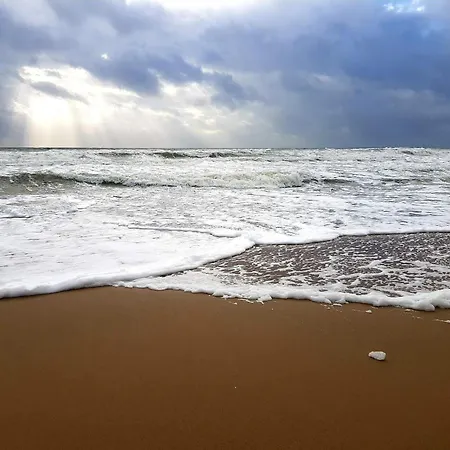 Luxury Retreat In - By Traum Blåvand