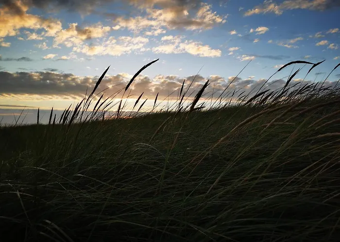 Luxury Retreat In - By Traum بيت للعطل *