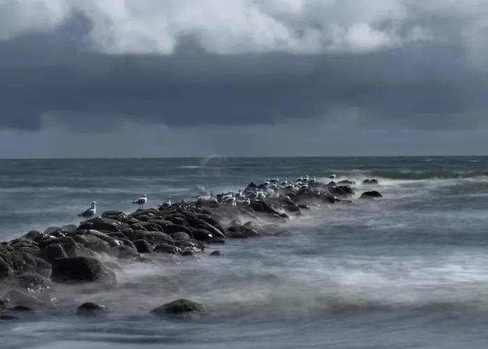 بيت للعطل Luxury Retreat In - By Traum Blåvand