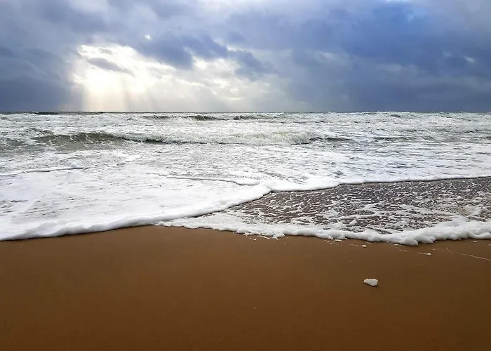 Luxury Retreat In - By Traum Blåvand